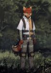  2019 absurd_res ambiguous_gender anthro backpack belt canid canine cheek_tuft clothed clothing dipstick_tail fox grass head_tuft hi_res hoodie mammal multicolored_tail outside panzery25 red_fox signature solo standing tree tuft utility_belt 