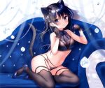  1girl 3: absurdres animal_ears artist_name bangs bare_arms bare_shoulders black_gloves black_hair black_legwear black_panties blue_eyes blue_footwear blue_ribbon blurry bra breasts cat_ears cat_girl cat_tail cleavage closed_mouth collarbone couch covered_nipples crop_top futaba_miwa garter_straps gloves hair_ribbon hands_up high_heels highleg highleg_panties highres huge_filesize lace lace-trimmed_bra lace-trimmed_legwear lace-trimmed_panties lace_trim lingerie long_hair looking_at_viewer medium_breasts navel no_pants non-web_source on_couch one_side_up original panties purple_ribbon ribbon scan sidelocks signature solo stomach tail thighhighs thighs underwear 