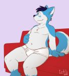 2019 4_fingers blue_fur blue_hair briefs canid canine canis clothed clothing domestic_dog fur green_eyes hair husky iztli male mammal multicolored_fur navel nordic_sled_dog partially_clothed simple_background sitting slightly_chubby sofa solo spitz two_tone_fur underwear white_fur 