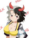  1girl animal_ears animal_print black_hair blush breasts cato_(monocatienus) cleavage collarbone commentary_request cow_ears cow_horns cow_print crop_top grey_hair haori horns japanese_clothes large_breasts looking_at_viewer midriff multicolored_hair red_eyes short_hair short_sleeves simple_background smile solo sports_bra touhou two-tone_hair upper_body ushizaki_urumi white_background wide_sleeves 