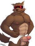  2019 anthro balls blush brown_fur canid canine canis corrector_yui digital_media_(artwork) erection eyewear fur hair hi_res humanoid_penis looking_at_viewer mabit male mammal nipples nude penis simple_background smile solo sunglasses synchro towel war_wolf were werecanid werecanine werewolf wolf 