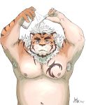  2019 anthro belly blue_eyes felid hi_res hombretigre humanoid_hands male mammal moobs nipples overweight overweight_male pantherine solo tiger tokyo_afterschool_summoners video_games z_j1341 