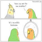  1:1 avian beak bird comic english_text feathers feral green_feathers grey_beak grey_feathers half-closed_eyes looking_at_another looking_at_mirror multicolored_feathers orange_feathers parrot reflection text theycantalk yellow_beak yellow_feathers 