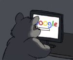  2017 anthro computer dailyraccoons google low_res mammal night procyonid raccoon solo 