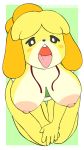  2019 2d_animation animal_crossing animated big_breasts biped bird&#039;s-eye_view black_eyes black_nose breasts breath buckteeth canid canine canis dingdongducc domestic_dog female floppy_ears fur high-angle_view isabelle_(animal_crossing) kneeling mammal nintendo nipples no_sclera open_mouth orange_fur panting pink_nipples shih_tzu signature solo teeth tongue tongue_out toy_dog video_games white_pupils yellow_fur 