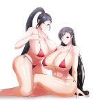  2girls absurdres bare_arms bare_legs bare_shoulders bikini black_eyes black_hair breasts cleavage curvy dragon_quest dragon_quest_xi earrings final_fantasy final_fantasy_vii full_body half-closed_eyes highres jewelry large_breasts legs long_hair looking_at_viewer low-tied_long_hair martina_(dq11) multiple_girls ponytail red_bikini side-tie_bikini simple_background smile striped striped_bikini swimsuit tifa_lockhart underboob white_background 
