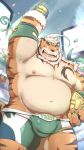  2019 anthro beartouma_0517 belly belt bottomwear bulge clothing felid fur hi_res hombretigre humanoid_hands male mammal moobs musclegut navel nipples overweight overweight_male pantherine pecs shorts solo striped_fur stripes tiger tokyo_afterschool_summoners victory video_games wrestler 