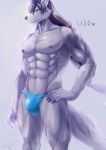  abs anthro areola biceps black_nose blue_clothing blue_eyes blue_underwear bulge canid canine cheek_tuft chin_tuft clothing crotch_tuft hair hand_on_hip hi_res inner_ear_fluff kkerotix looking_aside male mammal muscular muscular_male navel nipples pecs pink_areola pink_nipples pose purple_hair quads solo thong tuft underwear 