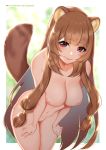  animal_ears naked nipples pussy raphtalia tail tate_no_yuusha_no_nariagari tofuubear 