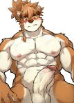  2019 abs anthro biceps canid canine cartuja epic7 fur hair hi_res humanoid_penis kumak71395 male mammal multicolored_fur muscular muscular_male nipples nude pecs penis simple_background solo 