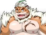  2019 4:3 anthro belly felid hombretigre male mammal moobs nipples overweight overweight_male pantherine simple_background solo teeth tiger tokyo_afterschool_summoners video_games white_background xion_cleararms 