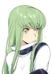  1girl ? bangs c.c. closed_mouth code_geass creayus eyebrows_visible_through_hair green_hair grey_background hair_between_eyes long_hair shiny shiny_hair simple_background solo upper_body yellow_eyes 