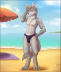  2019 abs absurd_res anthro balls beach bedroom_eyes biceps blush bulge canid canine canis clothed clothing countershade_torso countershading detailed detailed_fur digital_media_(artwork) digitigrade fur grey_fur hair half-closed_eyes hi_res looking_at_viewer male mammal muscular muscular_male outside pinup pose sea seaside seductive sidnithefox smaller_version_at_source smile solo swimwear topless underwear water white_balls wolf 