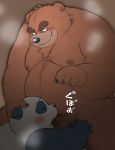  2019 anthro balls belly blush brown_fur cute_fangs duo eyes_closed fur giant_panda humanoid_hands japanese_text male male/male mammal moobs nipples oral overweight overweight_male sex text ursid wantaro 