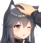  1girl ;o animal_ear_fluff animal_ears arknights bencao_gangmu_(19) blush brown_eyes eyebrows_visible_through_hair flying_sweatdrops grey_hair hair_between_eyes long_hair long_sleeves motion_lines one_eye_closed open_mouth petting simple_background solo_focus tareme texas_(arknights) upper_body white_background 