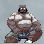  2019 anthro belly black_hair blush body_hair bottomwear brown_fur clothing fangs fur hair happy_trail kemono kumagaya_shin looking_at_viewer male mammal midriff musclegut muscular muscular_male navel nipple_outline overweight overweight_male shirt shorts tom_(lm) topwear ursid 