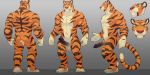  erection escort_(luvbites)_(character) felid green_eyes hi_res humanoid_penis luvbites male mammal model_sheet muscular muscular_male nude pantherine penis stripes tiger unknown_artist 