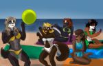  2019 5_fingers abs anthro badger beach bikini black_hair black_nose blonde_hair blue_eyes breasts brown_eyes brown_hair clothing digital_media_(artwork) eyebrows female fluffy fluffy_tail fur green_eyes hair jen_(mykegreywolf) kim_(mykegreywolf) liz_(mykegreywolf) lutrine mammal mel_(mykegreywolf) mephitid missebony muscular muscular_female mustela mustelid musteline nat_(mykegreywolf) navel open_mouth purple_eyes red_hair sea seaside simple_background skunk small_breasts smile surfboard swimwear water wolverine 