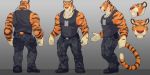  clothed clothing escort_(luvbites)_(character) felid green_eyes hi_res luvbites male mammal model_sheet muscular muscular_male pantherine stripes tiger unknown_artist 