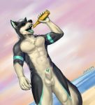  2019 5_fingers abs absurd_res alcohol animal_genitalia anthro balls beach beer beverage biceps biped black_claws black_fur black_nose black_tail bottle canid canine canis claws detailed_background digital_media_(artwork) domestic_dog drinking dutch_angle eyewear front_view fur green_penis green_tongue hair hi_res holding_bottle holding_object husky juice_(character) juiceps male mammal multicolored_fur multicolored_tail muscular muscular_male navel nordic_sled_dog nude open_mouth outside pecs penis penis_tip sea seaside sheath short_hair signature solo spitz standing sunglasses teeth tongue two_tone_fur two_tone_tail water white_balls white_fur white_hair white_sheath white_tail 