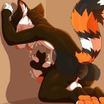  1:1 anal anal_masturbation anal_penetration anthro autopenetration balls belly blush bulge butt camychan digital_media_(artwork) fangs fur hi_res kulza male male_penetrating mammal masturbation open_mouth pawpads paws penetration penis plushie plushophilia procyonid ring-tailed_cat saliva self_fuck sex simple_background solo tongue tongue_out voodoo voodoo_doll voodoo_sex 