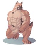  anthro arexo balls canid canine erection hi_res humanoid_penis looking_at_viewer male mammal muscular muscular_male nude penis pubes scar solo vein 