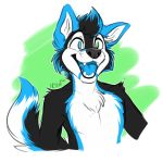  2016 anthro black_fur blue_fur blue_tongue canid canine canis citrinelle digital_media_(artwork) domestic_dog fur heterochromia husky mammal nordic_sled_dog open_mouth simple_background spitz teeth tongue white_fur 