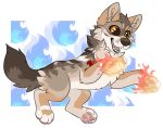  2016 canid canine citrinelle digital_media_(artwork) feral fir fire fur grey_fur mammal open_mouth paws simple_background smile solo tan_fur teeth tongue 