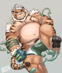  2019 absurd_res anthro belly blush bottomwear bulge clothing felid hi_res hombretigre humanoid_hands male mammal moobs navel nipples overweight overweight_male pantherine shorts simple_background solo tiger tokyo_afterschool_summoners undressing v2wolf video_games 