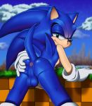  anus balls bedroom_eyes erection eulipotyphlan half-closed_eyes hedgehog hi_res looking_at_viewer male mammal nowykowski7 outside presenting seductive solo sonic_(series) sonic_the_hedgehog spiky_hair 