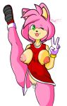  amy_rose areola breasts clothed clothing cum eulipotyphlan exposed_breasts female hedgehog mammal nipples panties partially_clothed pussy sega sonic_(series) taylorthefox24 underwear video_games 