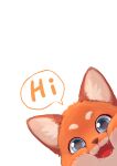  absurd_res ambiguous_gender black_nose black_pupils blue_eyes canid canine color_fox fox fur hi_res inner_ear_fluff looking_at_viewer mammal open_mouth orange_fur red_tongue simple_background solo tan_fur white_background 