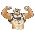  1:1 2019 5_fingers abs anthro beard biceps blonde_hair facial_hair flexing hair harness hi_res hyenaface looking_at_viewer male mammal muscular muscular_male navel pecs simple_background solo ursid white_background 