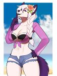  anthro beach bikini breasts canid canine clothed clothing female hi_res looking_at_viewer mammal outside porin seaside smile solo standing swimwear wide_hips 