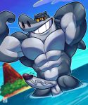  2019 abs absurd_res anthro balls erection fish hi_res humanoid_penis male marine muscular muscular_male partially_submerged penis shark sharko smile solo tehbluebubble volcano water zig_and_sharko 