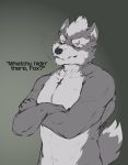  abs anthro canid canine canis cigarette dialogue hi_res male mammal muscular muscular_male nintendo nipples nude pecs smoking spazmaverick star_fox text video_games wolf wolf_o&#039;donnell 