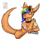  2019 anthro blue_eyes blush breasts canid canine canis checked choker collar digital_media_(artwork) domestic_cat ear_piercing felid feline felis female fur hair looking_at_viewer mammal mia_dyke_(character) multicolored_hair nipple_piercing nipples nude open_mouth piercing rainbow rainbow_hair simple_background smile solo wolf wolky 