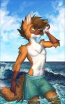  anthro canid canine clothed clothing cloud fur hair hi_res male mammal outside sea smile solo standing tlt_echelon topless water 