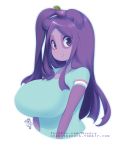  anthro big_breasts blue_clothing breasts bust_portrait clothing eye_markings facial_markings female front_view giant_panda hair hair_ornament long_hair looking_at_viewer mammal markings miu nipple_outline pink_nose plum_(miu) portrait purple_eyes purple_hair shirt signature simple_background smile solo t-shirt topwear url ursid white_background 