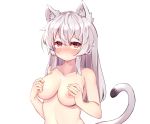  animal_ears blush breast_hold breasts catgirl cropped gray_hair kosobin long_hair nipples nude original red_eyes tail white 