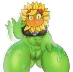  2019 absurd_res alternate_species breasts butt_from_the_front clothing digital_media_(artwork) electronic_arts eyewear female flora_fauna flower flower_humanoid goggles green_pussy hi_res humanoid humanoidized living_flower looking_at_viewer not_furry overheated plant plant_humanoid plants_vs._zombies plants_vs._zombies_heroes popcap_games pussy shirt simple_background solar_flare_(pvz) solo sunflower sunflower_(pvz) sweat topwear video_games white_background wizzikt 