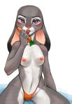  anthro breasts carrot clothing disney female food hi_res judy_hopps lagomorph leporid licking looking_at_viewer mammal nipples plant purple_eyes rabbit solo teasfox thong tongue tongue_out vegetable zootopia 