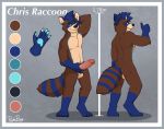  balls big_penis fuaxhawk humanoid_penis male male/male mammal model_sheet muscular pache_riggs paws penis procyonid raccoon solo 