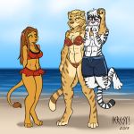  2019 4_toes 5_fingers abs beach bikini blonde_hair blue_eyes blush bottomwear breasts brown_eyes brown_hair caitian chest_tuft cleavage clothed clothing digitigrade dipstick_tail ear_piercing ear_ring exercise feet felid female fur hair harry_campbell heresy_(artist) kilrathi larger_female m&#039;ress male mammal multicolored_tail outside pantherine piercing pullups seaside shorts size_difference skimpy star_trek stripes swimwear tan_fur tiger toes tuft white_fur white_hair wing_commander yellow_sclera 