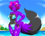  beach bikini canid canine canis clothing domestic_dog ear_piercing ear_ring mammal piercing seaside sky solo speeds swimwear 