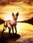  2019 african_wild_dog ambiguous_gender canid canine day detailed_background feral grass magenta7 mammal outside paws sky solo standing water 