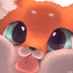  1:1 ambiguous_form ambiguous_gender black_nose canid canine close-up color_fox face_squish fox fur looking_at_viewer mammal orange_fur simple_background solo squish tan_fur tongue tongue_out white_background 
