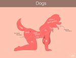  anthro big_breasts breasts canid canine collar female hanging_breasts hi_res mammal text tongue tongue_out wherewolf 