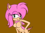  amy_rose sonic_team tagme 