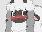  2019 black_delphox blush bovid caprine fluffy horizontal_pupils horn mammal nintendo pink_nose pok&eacute;mon pok&eacute;mon_(species) sweat video_games wool wooloo 